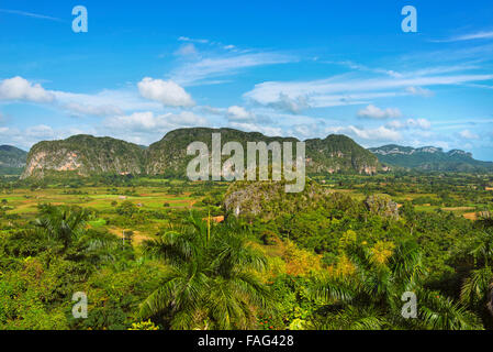 Vinales Tal Kuba Stockfoto