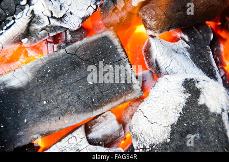 Verbrennung von Kohle. Der kochende Raum gegrillt Ping Stockfoto