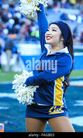 Fort Worth, Texas, USA. 29. Dezember 2015. California Golden Bears Cheerleader während der NCAA Lockheed Martin Armed Forces Bowl-Spiel zwischen Cal Vs Luftwaffe im Amon G. Carter Stadium in Fort Worth, Texas. Bildnachweis: Csm/Alamy Live-Nachrichten Stockfoto