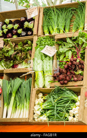 Frisches Obst und Gemüse wie Lauch, Zwiebeln und Rüben angezeigt in Holzkisten auf einem Bauernmarkt in Beaverton, Oregon, USA Stockfoto