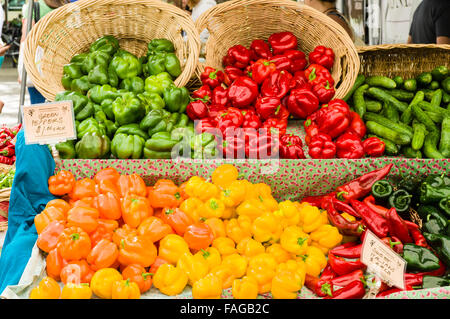 Anzeige der bunte Paprika, einschließlich rot, Orange, gelb und grün auf einem Bauernmarkt in Beaverton, Oregon, USA Stockfoto
