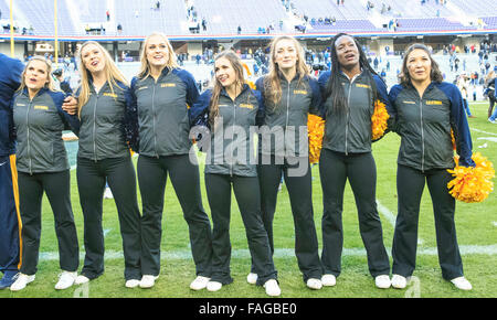 Fort Worth, Texas, USA. 29. Dezember 2015. California Golden Bears Cheerleader während der NCAA Lockheed Martin Armed Forces Bowl-Spiel zwischen Cal Vs Luftwaffe im Amon G. Carter Stadium in Fort Worth, Texas. Bildnachweis: Csm/Alamy Live-Nachrichten Stockfoto