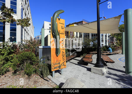 Outdoor-Klassenzimmer Van der Donck Park Downtown Yonkers New York Stockfoto