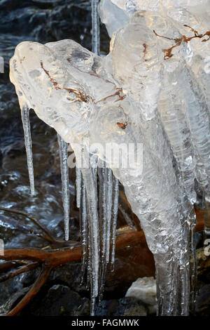 Eiszapfen auf Ästen, Finnland Europa Stockfoto