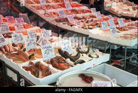 Neapel, Italien - 9. August 2015: Legen Sie verschiedene Arten von Fisch und Meeresfrüchten auf den Schaltern der Straße Marktplatz in Neapel, Italien Stockfoto