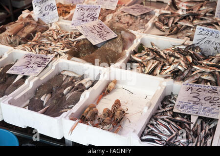 Neapel, Italien - 9. August 2015: Legen Sie verschiedene Arten von Fisch und Meeresfrüchten auf Zähler der Straße Marktplatz in Neapel, Italien Stockfoto