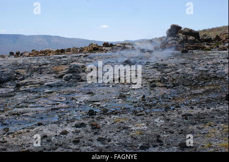 Kenia Lake Bogoria Hot Springs Geysire und Dampfstrahler. Great Rift Valley in Kenia, Afrika Stockfoto