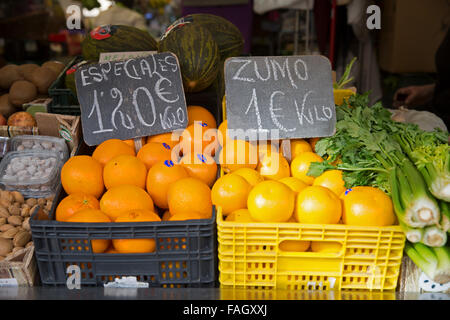 Orangen und Grapefruits zum Verkauf auf einem Markt in Cadiz Spanien Stockfoto