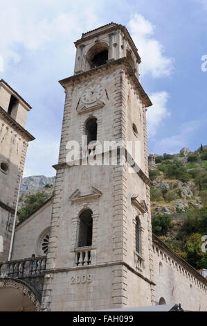 St. Tryphon Kathedrale in Kotor, Montenegro. Stockfoto