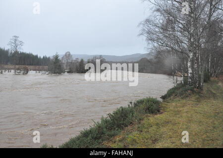 Bilder, die während der Evakuierung von Ballater während Sturm Frank, 2015, Flooding, Dorf Stockfoto