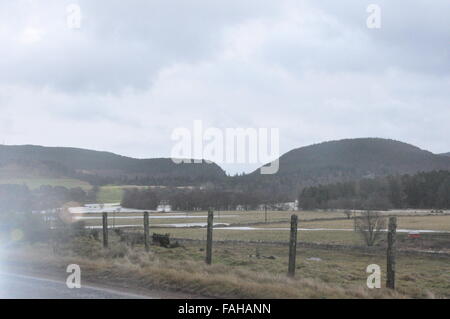 Bilder, die während der Evakuierung von Ballater während Sturm Frank, 2015, Flooding, Dorf Stockfoto