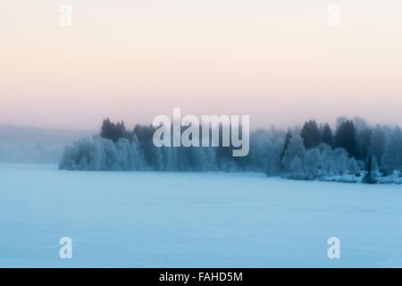 Schöne lebendige skandinavischen nebligen Winter-Szene. Stockfoto