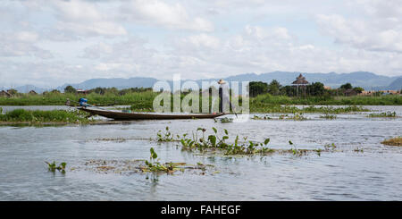 Ein Fischer aus dem Intha Volk seine Ruderboot am Inle-See in Myanmar (Burma). Stockfoto