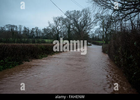 Exeter, UK. 30. Dezember 2015. Wetter des Tages, Sturm Frank, abgebildet in der Nähe der MetOffice Treiber Schlacht dort Weg durch Hochwasser. -In der Nähe von Rockbere, Exeter - Sturm Frank - Devon, UK Mittwoch 30. Dezember 2015. Bildnachweis: @camerafirm/Alamy Live News Stockfoto