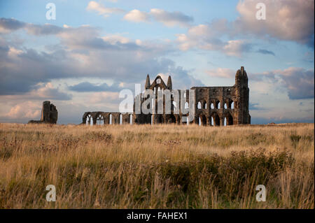 Whitby Abbey, Whitby, Großbritannien Stockfoto