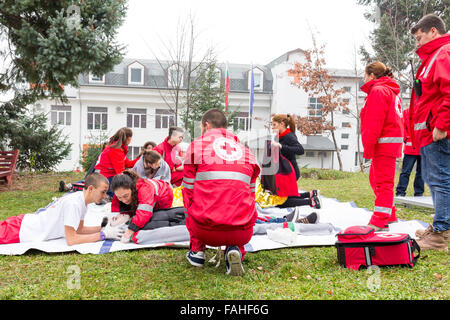 Sofia, Bulgarien - 5. Dezember 2015: Freiwillige aus der bulgarischen Roten Kreuzes Jugendorganisation ein Training o beteiligen sich Stockfoto