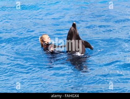 Trainer mit einem Tümmler im Loro Parque Zoo & Marine Park in Puerto De La Cruz, Teneriffa, Spanien Stockfoto