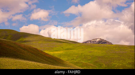 Frühling Landschaft mit sanften Hügeln und Schnee bedeckten Berg, Lamar Valley, Yellowstone-Nationalpark, Wyoming, USA Stockfoto