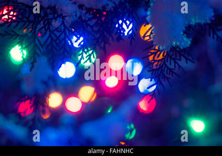Weihnachtsbeleuchtung Urlaub unscharf gestellt Hintergrund im Rahmen von Tannengrün mit Schnee bedeckt Stockfoto