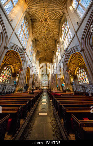 Steigenden Fan gewölbte gotische Decke und Laterne Windows in Bath Abbey in Somerset UK Stockfoto