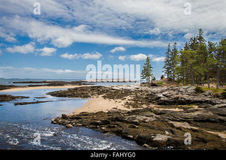 Reid Staatspark, Georgetown Island, Maine Stockfoto