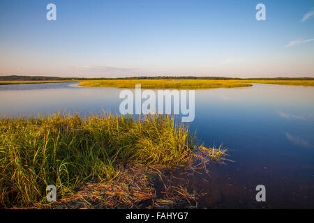 Scarborough Marsh auf der Küste von Maine Stockfoto