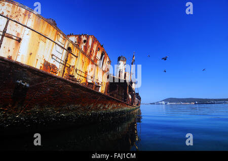 Wrack der Wal Jagd Schiff Cheynes II in Princess Royal Harbour, Albany, Western Australia Stockfoto