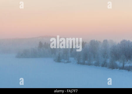 Schöne lebendige skandinavischen nebligen Winter-Szene. Stockfoto