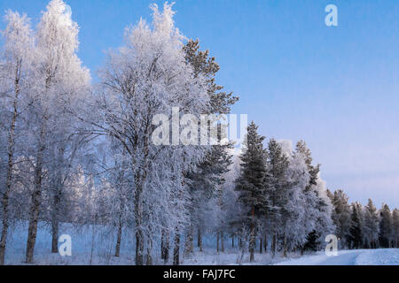 Schöne lebendige skandinavischen Winter-Szene. Stockfoto