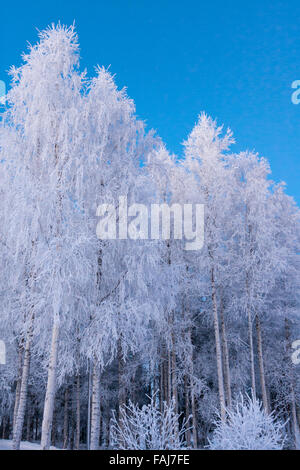 Schöne lebendige skandinavischen Winter-Szene. Stockfoto