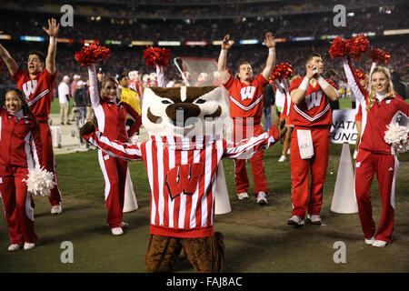 San Diego, CA. 30. Dezember 2015. Das Wisconsin Maskottchen Jubel mit den Fans im Spiel zwischen der Wisconsin Badgers und die USC Trojans, nationale Finanzierung Holiday Bowl, Qualcomm Stadium in San Diego, CA. Fotograf: Peter Joneleit/Cal Sport Media. Bildnachweis: Csm/Alamy Live-Nachrichten Stockfoto