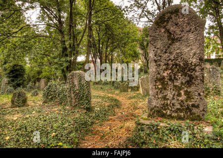 Der alte jüdische Friedhof in Kolin Stockfoto