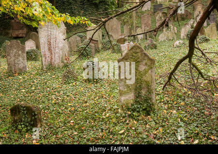 Der alte jüdische Friedhof in Kolin Stockfoto