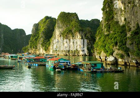 Schwimmenden Fischerdorf unter den Karst Inseln in der Halong Bay Stockfoto