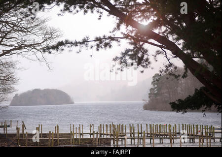 Holzsteg am Derwent Water, Lake District Stockfoto