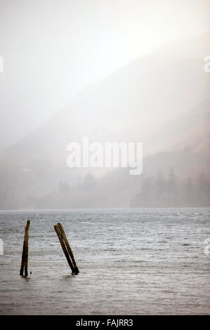 Jetty Pole am Derwent Water, Lake District Stockfoto