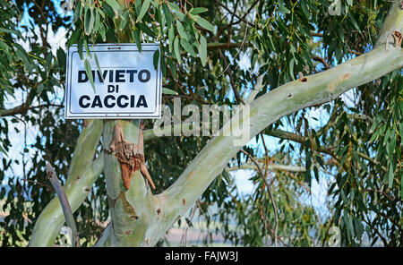 Italienische keine Jagd melden Sie auf einem Ast Eukalyptus Stockfoto