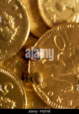 Miniatur-Leute sitzen auf Schokolade Geld Münzen Stockfoto