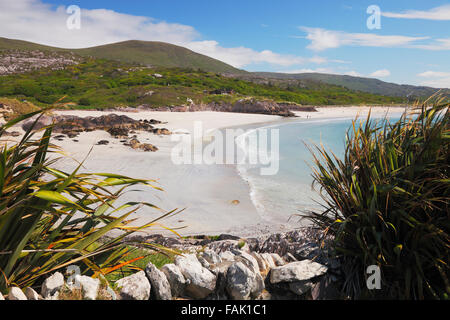 Derrynane Bay in der Nähe von Caherdaniel am Ring of Kerry, County Kerry, Irland Stockfoto