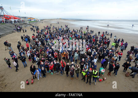 Mehr als 500 Dackel versammelten sich mit ihren Besitzern mass spazieren entlang der Sand am Strand von Coney, Porthcawl, South Wales. Stockfoto
