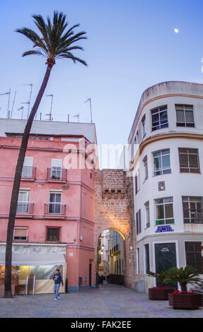 Arco De La Rosa, Plaza De La Catedral.Cádiz, Andalusien, Spanien Stockfoto