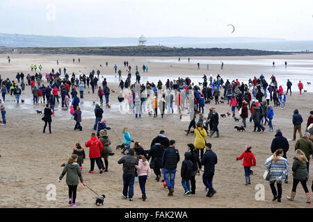 Mehr als 500 Dackel versammelten sich mit ihren Besitzern mass spazieren entlang der Sand am Strand von Coney, Porthcawl, South Wales. Stockfoto