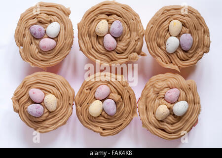 Hausgemachte Schokoladen-Ei nest Kuchen setzen auf weißem Hintergrund Stockfoto