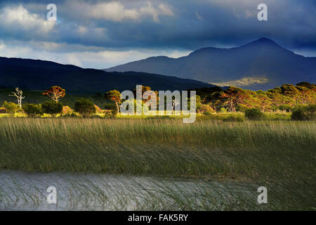 Lough Caragh auf der Iveragh-Halbinsel, County Kerry, Irland Stockfoto