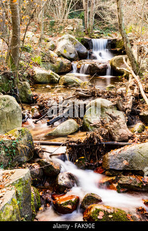 Ein Bach fließt durch den Wald über die Felsen. Stockfoto