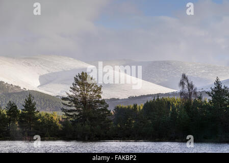 Uath man & Cairngorms im Glen Feshie in Schottland. Stockfoto