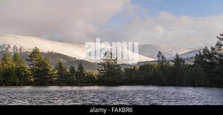 Uath man & Cairngorms im Glen Feshie in Schottland. Stockfoto