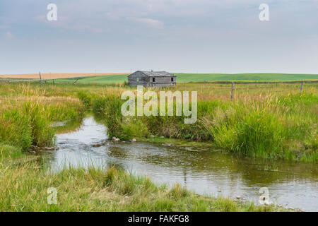 Gehöft in ländlichen südlichen Alberta Kanada Stockfoto