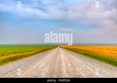 Gehöft in ländlichen südlichen Alberta Kanada Stockfoto