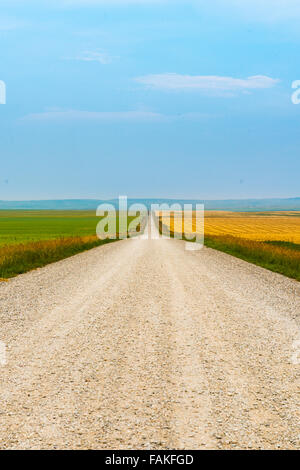 Gehöft in ländlichen südlichen Alberta Kanada Stockfoto